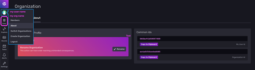 influxdb orgid user id