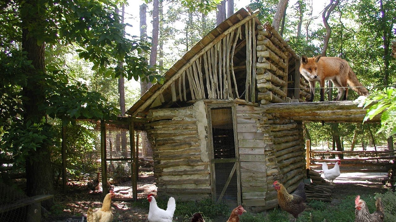 why monitor AWS with Telegraf