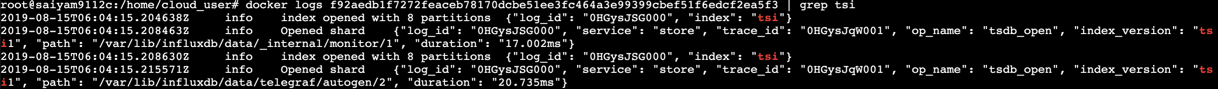 InfluxDB - TSI check
