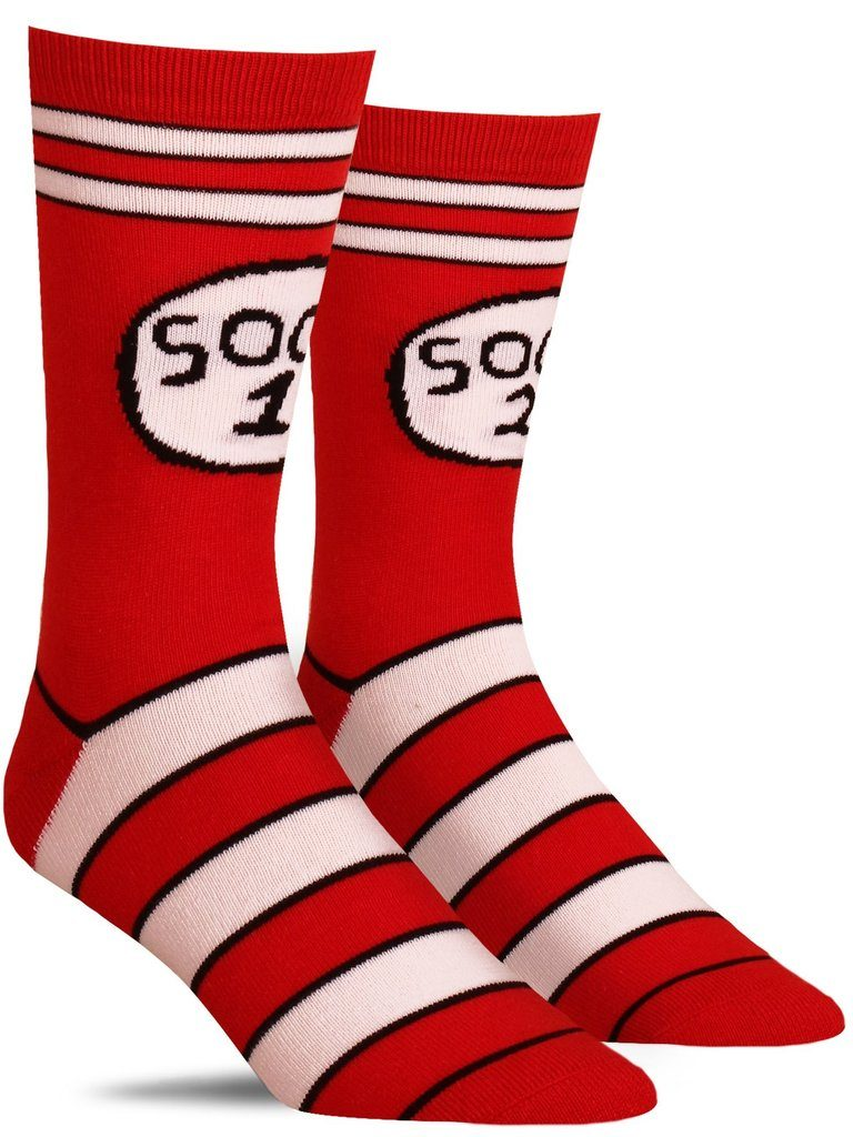 soc2 type1 type2